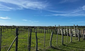 Fracción Rural de 2.400 m² - Ruta 14, Colón